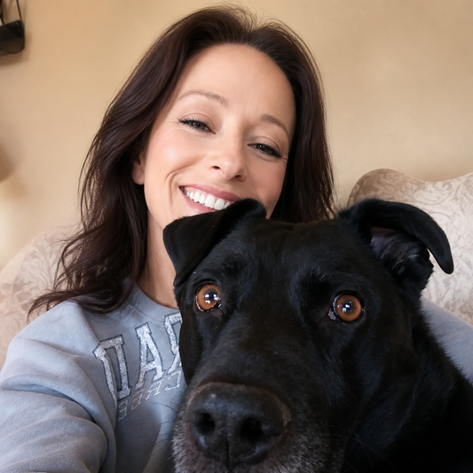 Introducing All You Need Is Ruv, A Rescue Tag Program by Wags to Wishes