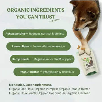 Botanical Bones – Calming Peanut Butter Dog Treats