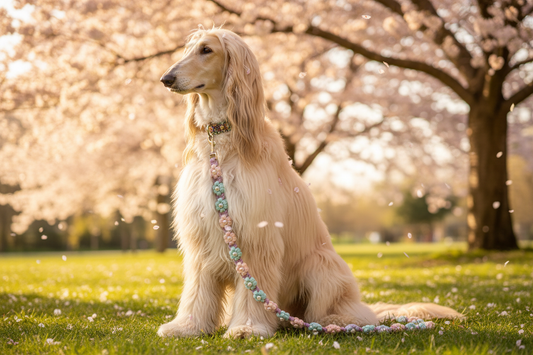 Paws & Smell the Flowers — Daisy Chain Leash